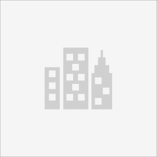 Viralfeed Marketing Digital